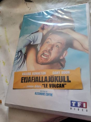 Eyjafjallajokull le volcan