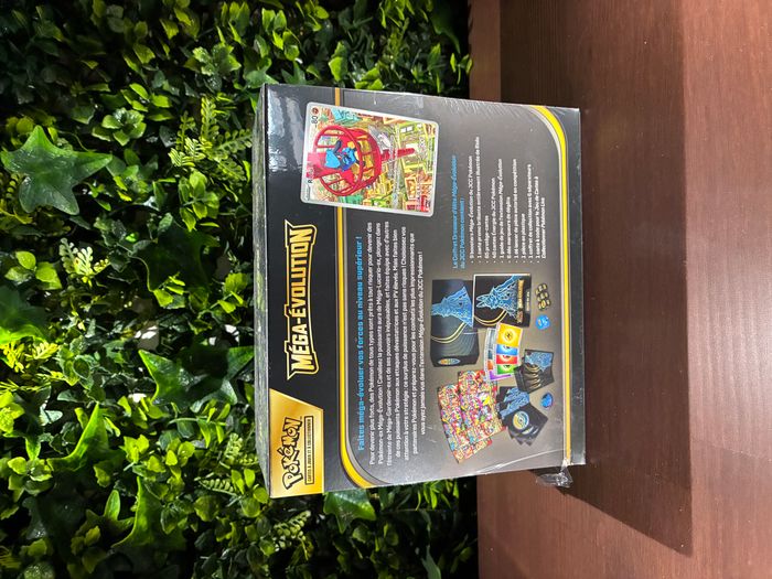 🌟 Coffret dresseur d'élite méga-évolution - lucario - photo numéro 3