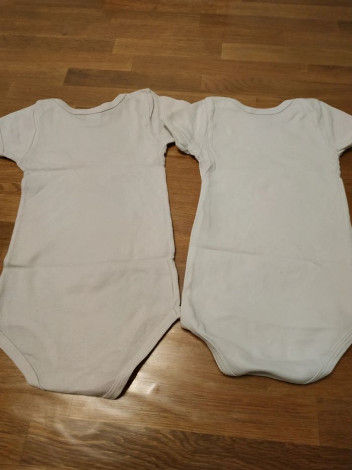 2 bodys fille 18 mois Petit bateau - photo numéro 2