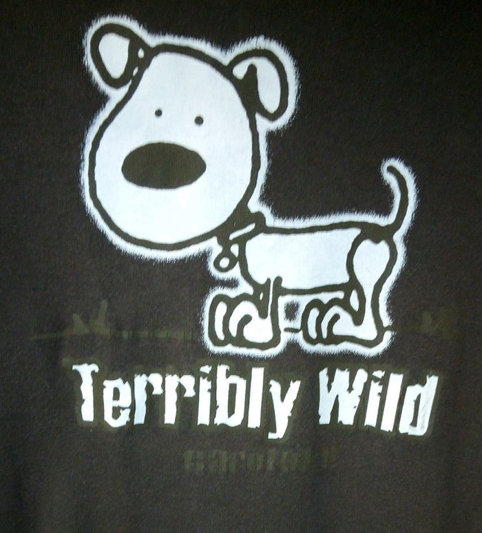 Teeshirt Terribly Wild 12ans - photo numéro 4
