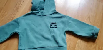 Sweat à capuche dino