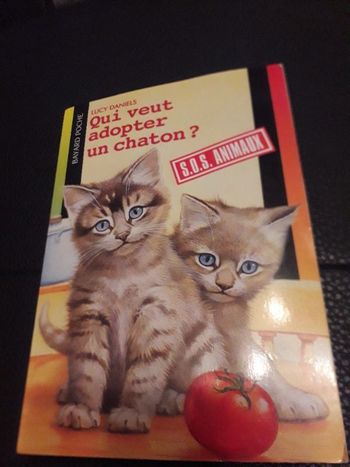 Qui veut adopter un chaton ?