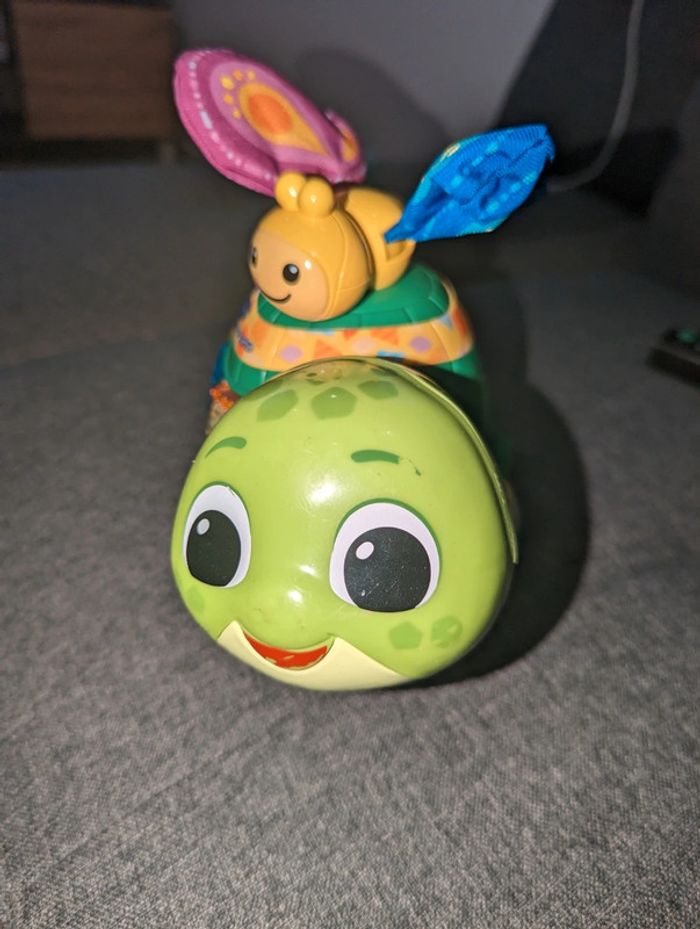 Tortues pouss pouss - photo numéro 2