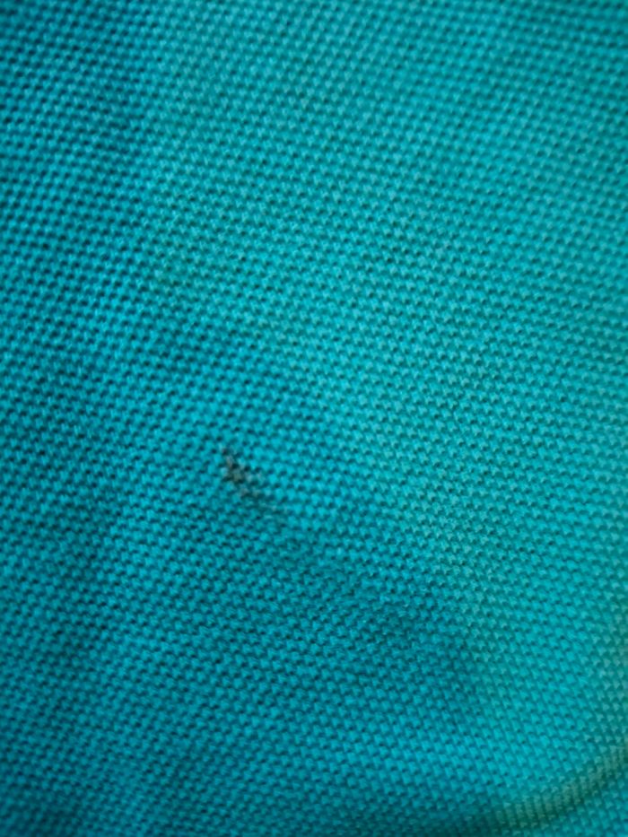 Polos - photo numéro 2