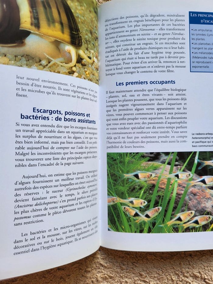 Livre "Aquarium pour débutants" Klaus Paysan - photo numéro 10