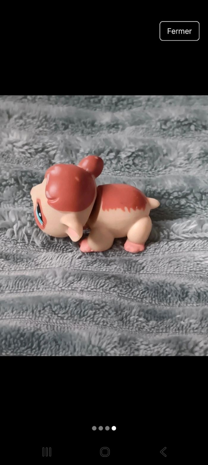 Petshop hamster 683 - photo numéro 4
