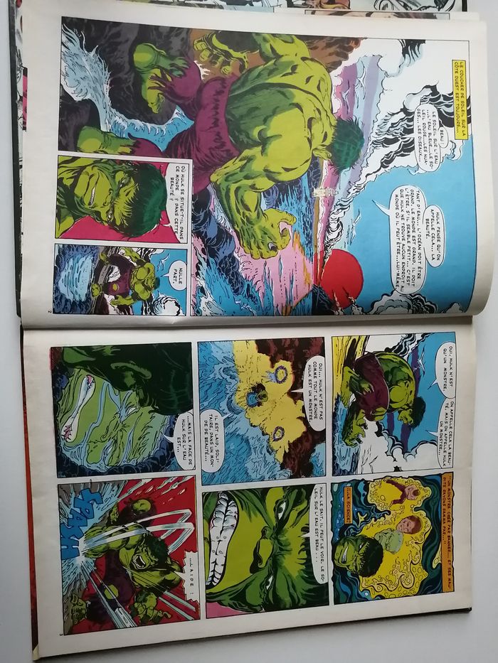 l'incroyable hulk - photo numéro 4