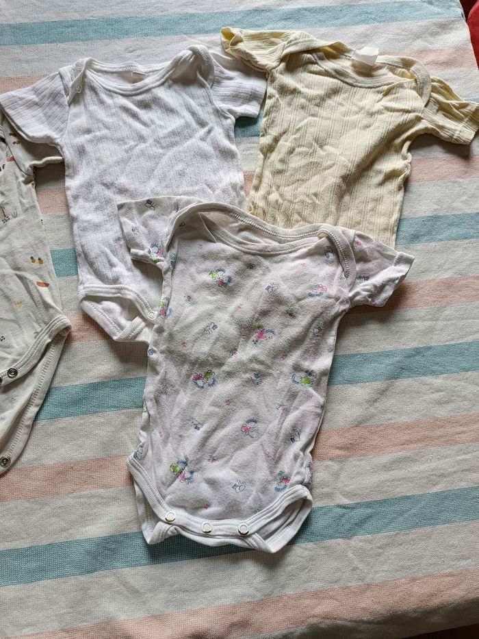 Lot 5 body manches courtes 3 mois - photo numéro 3
