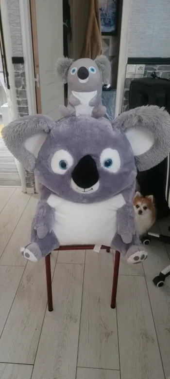 Peluche
