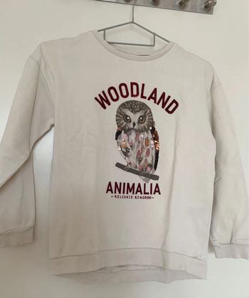 Sweat H&M 8/10 ans