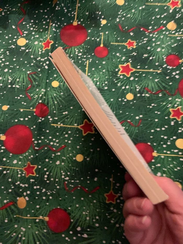 Traite de civisme - photo numéro 4