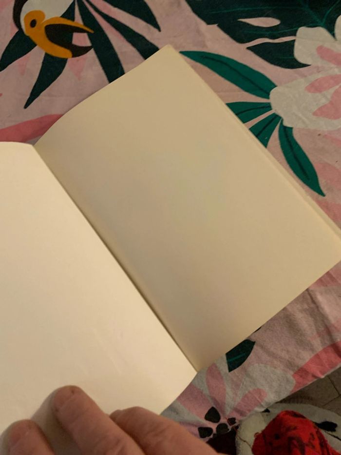 Les ELs - photo numéro 5