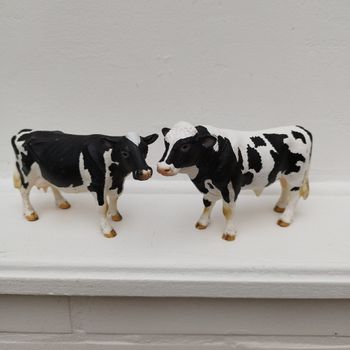 Taureau et vache Holstein 