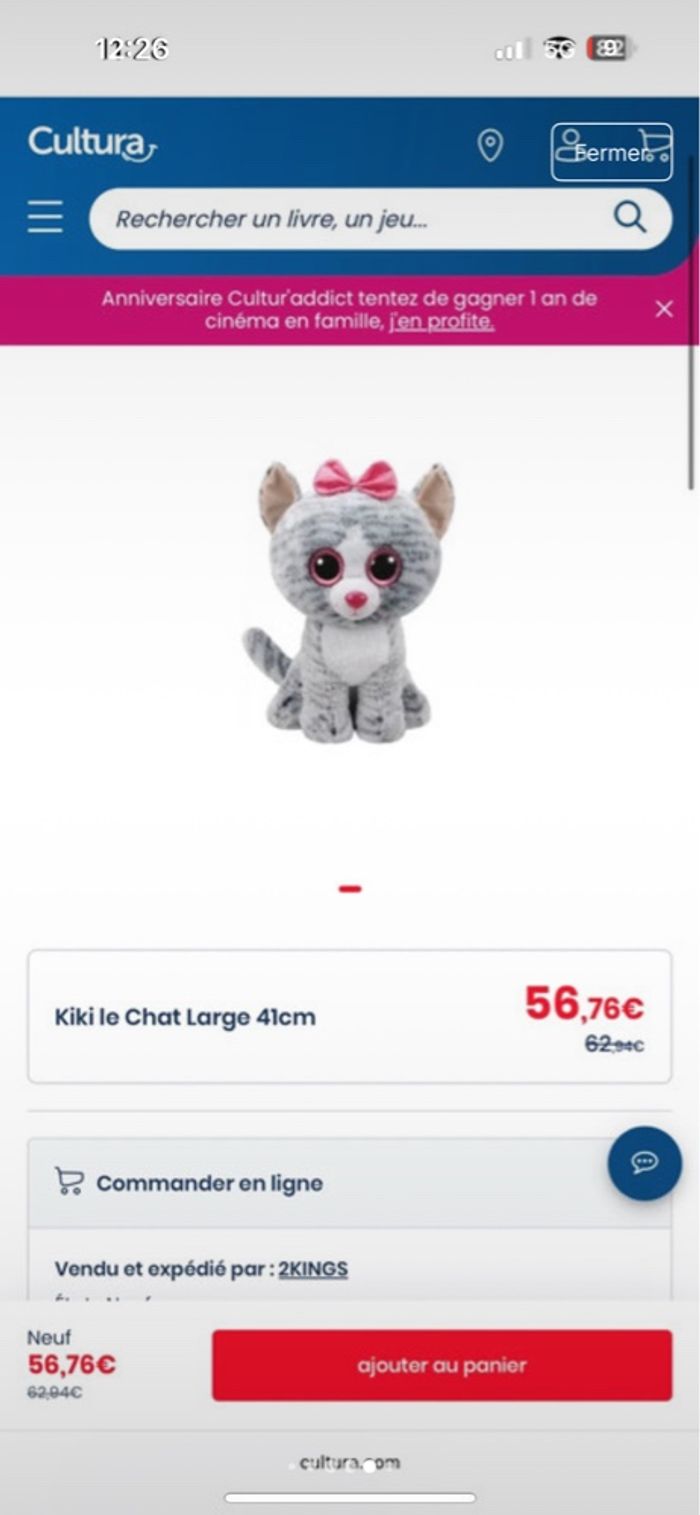 Lot de peluche TY - photo numéro 2