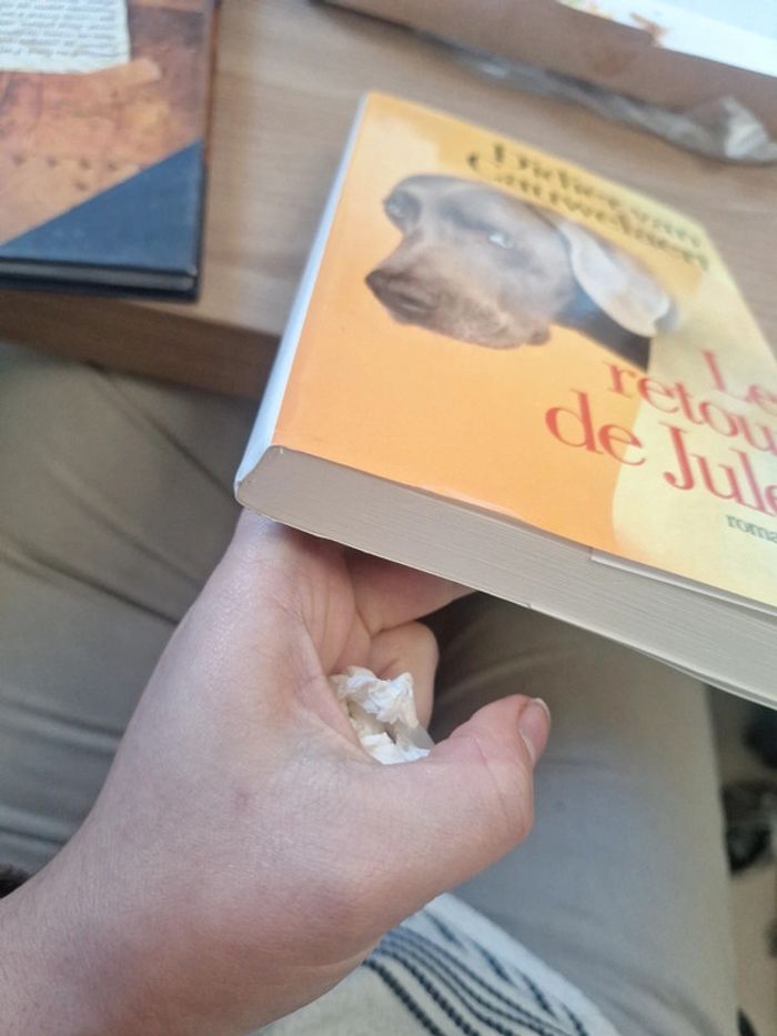 Roman de chien le retour de jules - photo numéro 3