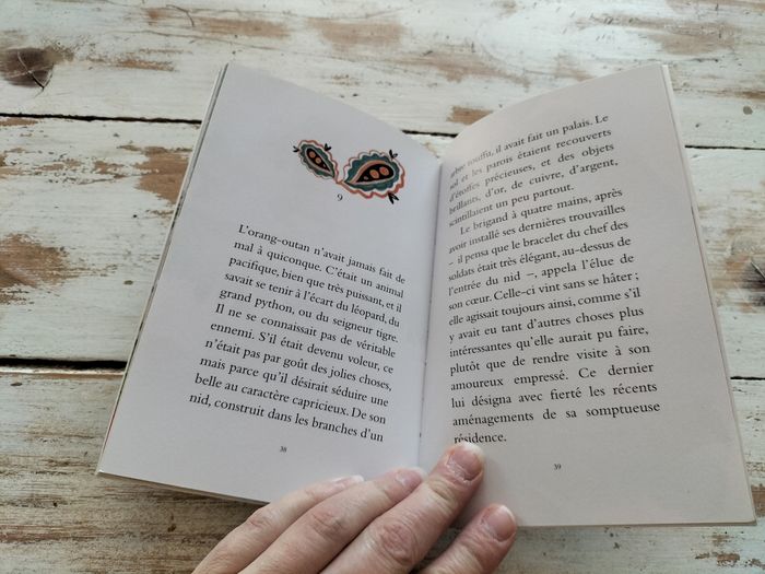 Livre le brigand à quatre mains - photo numéro 3