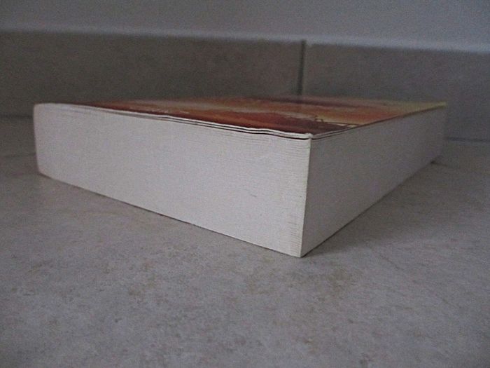 Roman ado Everything you need – Morgane Bicail - photo numéro 5