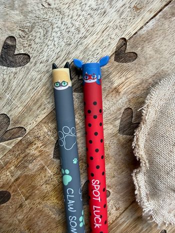 Magnifique stylos effaçables style Legami passion kawai 