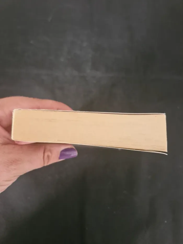 La Malédiction De Gabrielle - Tome 1 - Le Fléau De Dieu - Andrea H. Japp - photo numéro 3