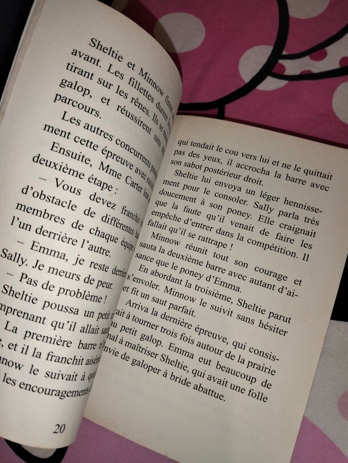 Livre Sheltie et la course folle - photo numéro 4