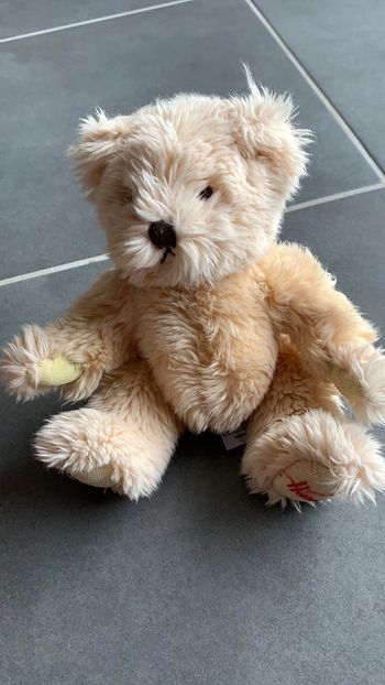 Ours en peluche