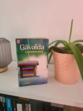 La consolante de Anna Gavalda
