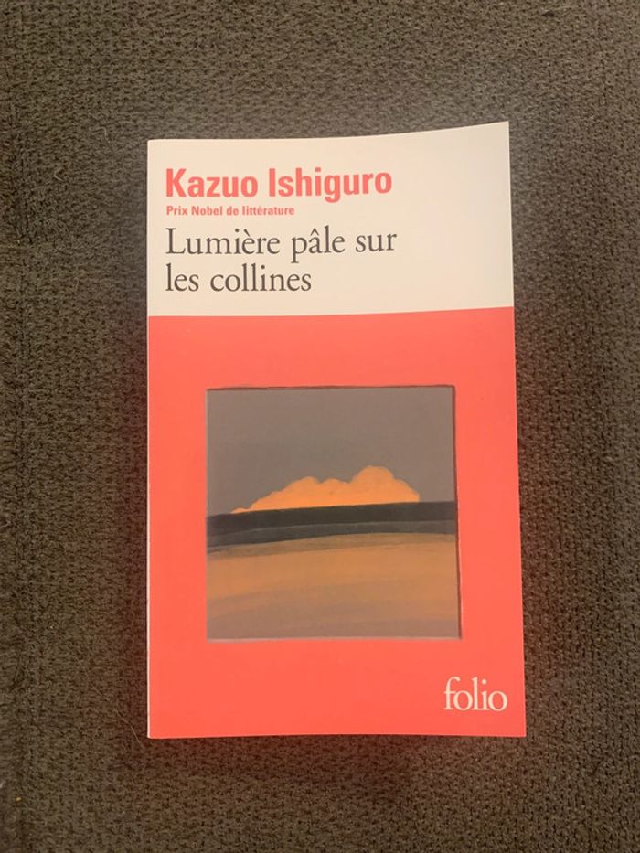 Livre Lumière pâle sur les collines