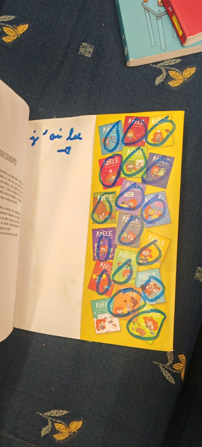 Motelle adèle - photo numéro 8