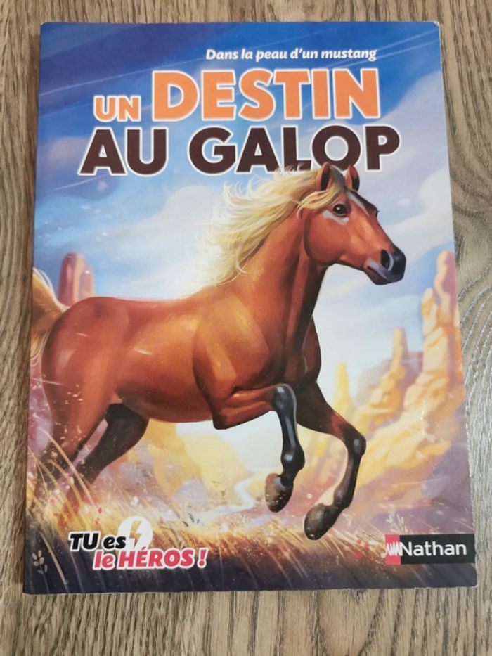 Livre dont tu es le héros- tu es un jeune mustang