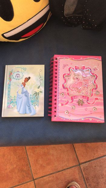 Disney neuf carnet la princesse et la grenouille + carnet ballerine