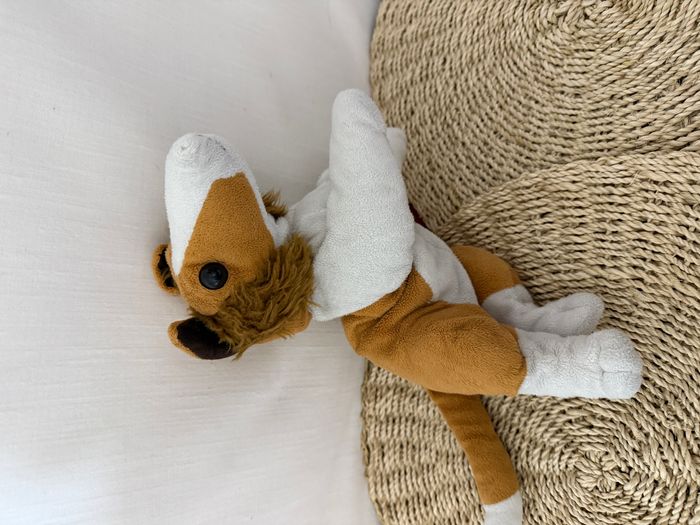 Peluche chien Colley - photo numéro 1