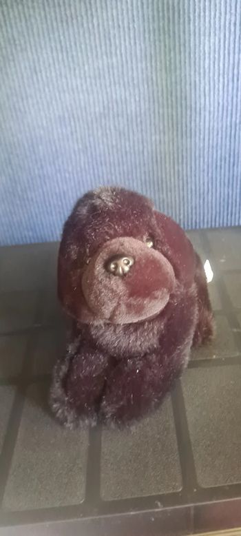 Peluche Labrador noir