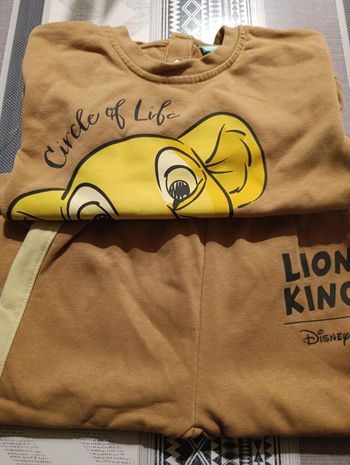 Ensemble le roi lion 12 24 mois 