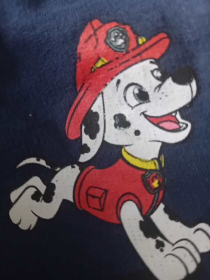 Short garçon Paw Patrol - Taille 104 (C&A) - photo numéro 3
