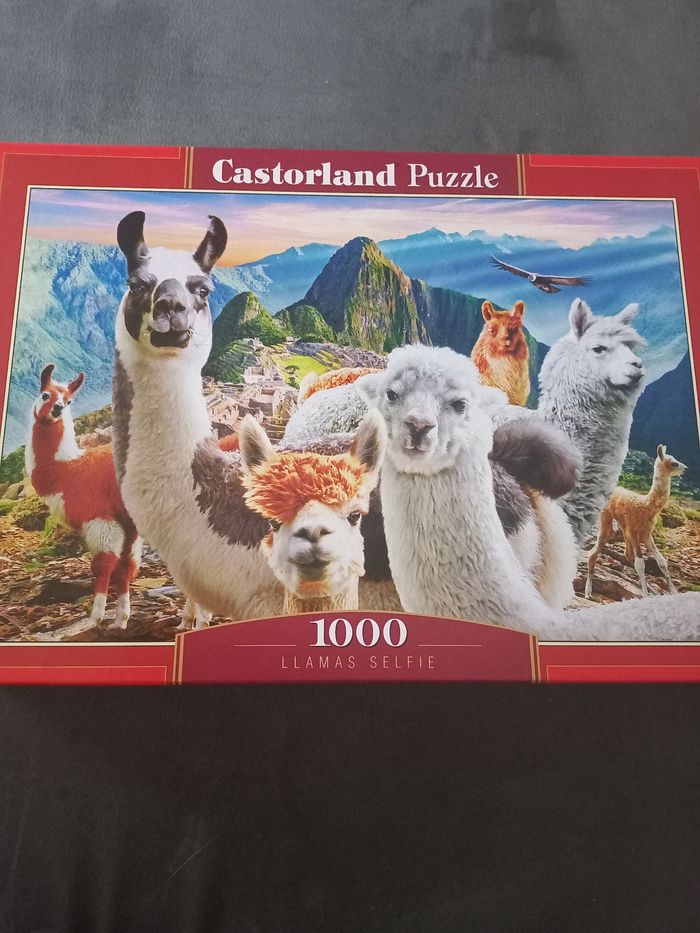 Puzzle 1000 pièces castorland lamas - photo numéro 3