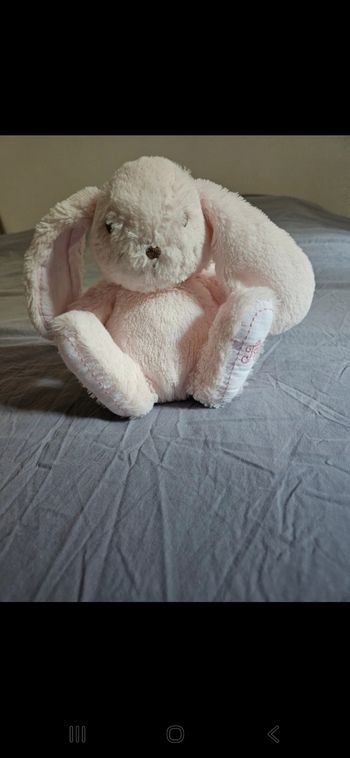 Augustin le lapin