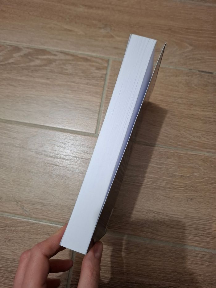 Un patron milliardaire de Leslie North - photo numéro 3