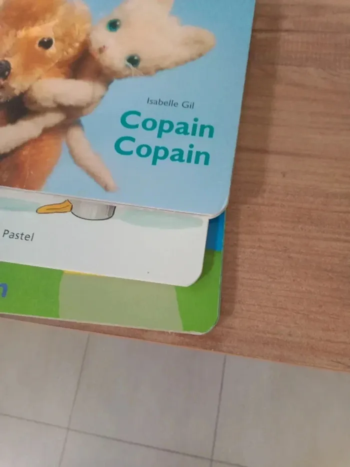 Livre pour enfants - photo numéro 10