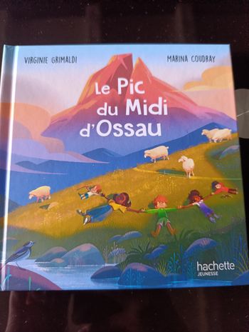Livre " Le Pic du Midi d'Ossau"
