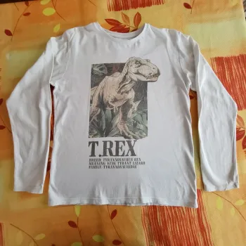 Tee-shirt manches longues Jurassic World 11-12 ans