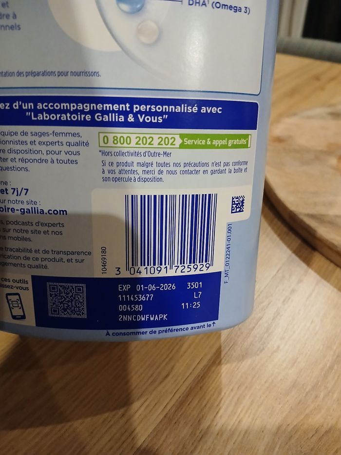 Gallia calisma - photo numéro 2