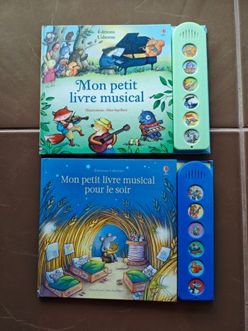 Lot de 2 livres musicaux