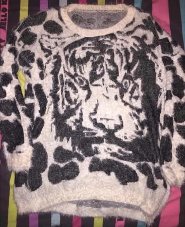 Pull tigre - photo numéro 2