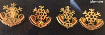 Broche médaille de l’école de ski Française ( au chop)