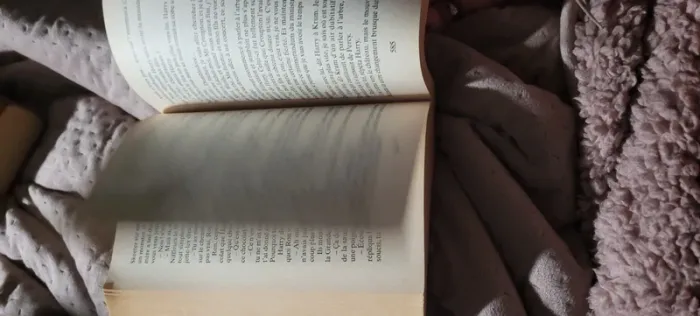 Harry potter et la coupe de feu - photo numéro 5
