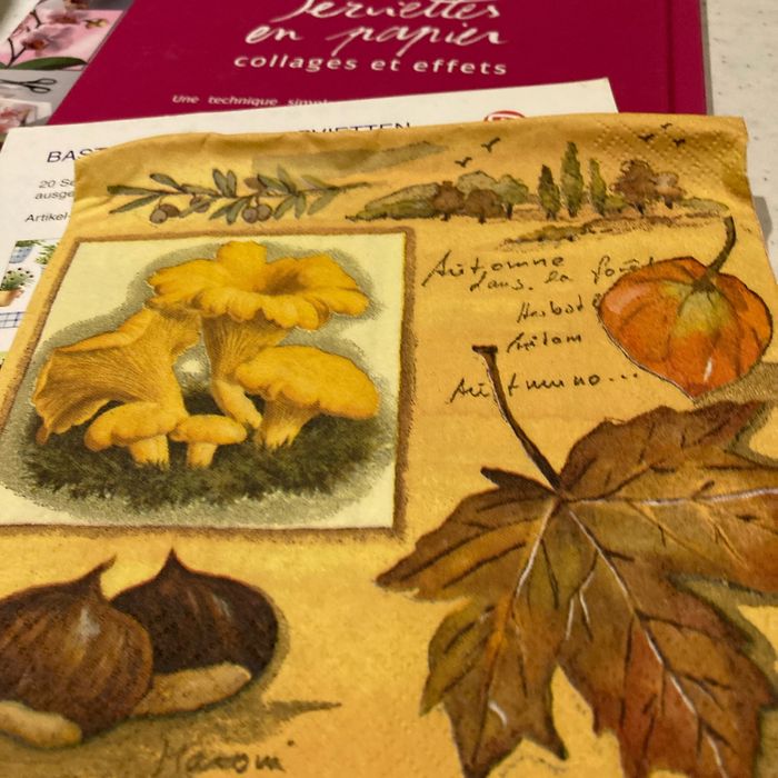 Livre serviettes en papier collages et effets avec serviettes en papiers - photo numéro 7