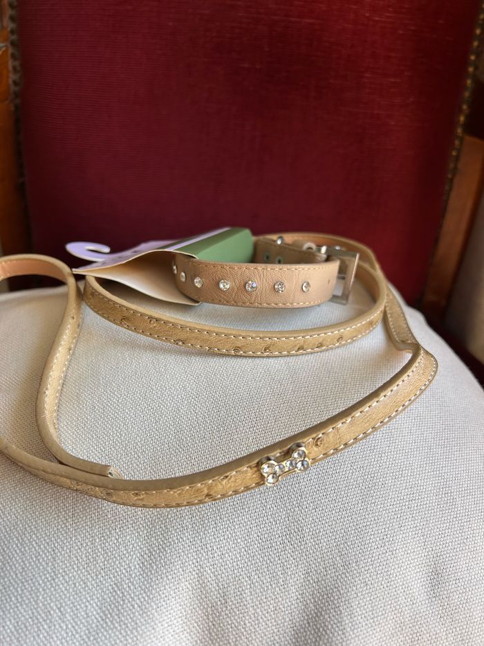 Ensemble accessoires chien - photo numéro 10