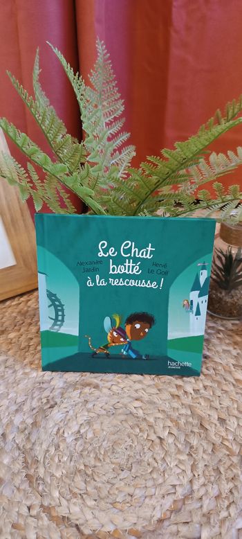 Livre Mc Do " Entre dans le conte " _ Le chat botté à la rescousse !