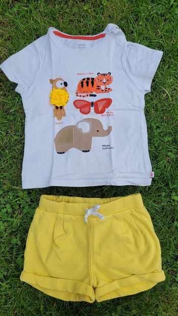 Ensemble 23mois 🐘