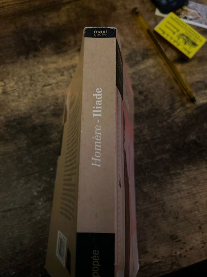 Iliade - photo numéro 3